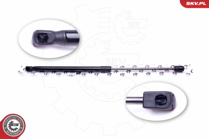 Gas Spring, boot/cargo area